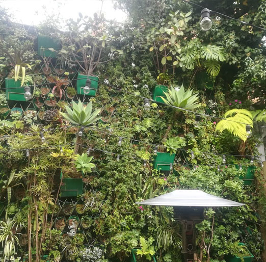 jardineros en bogota