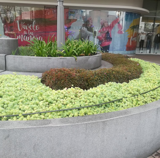 jardineros en bogota