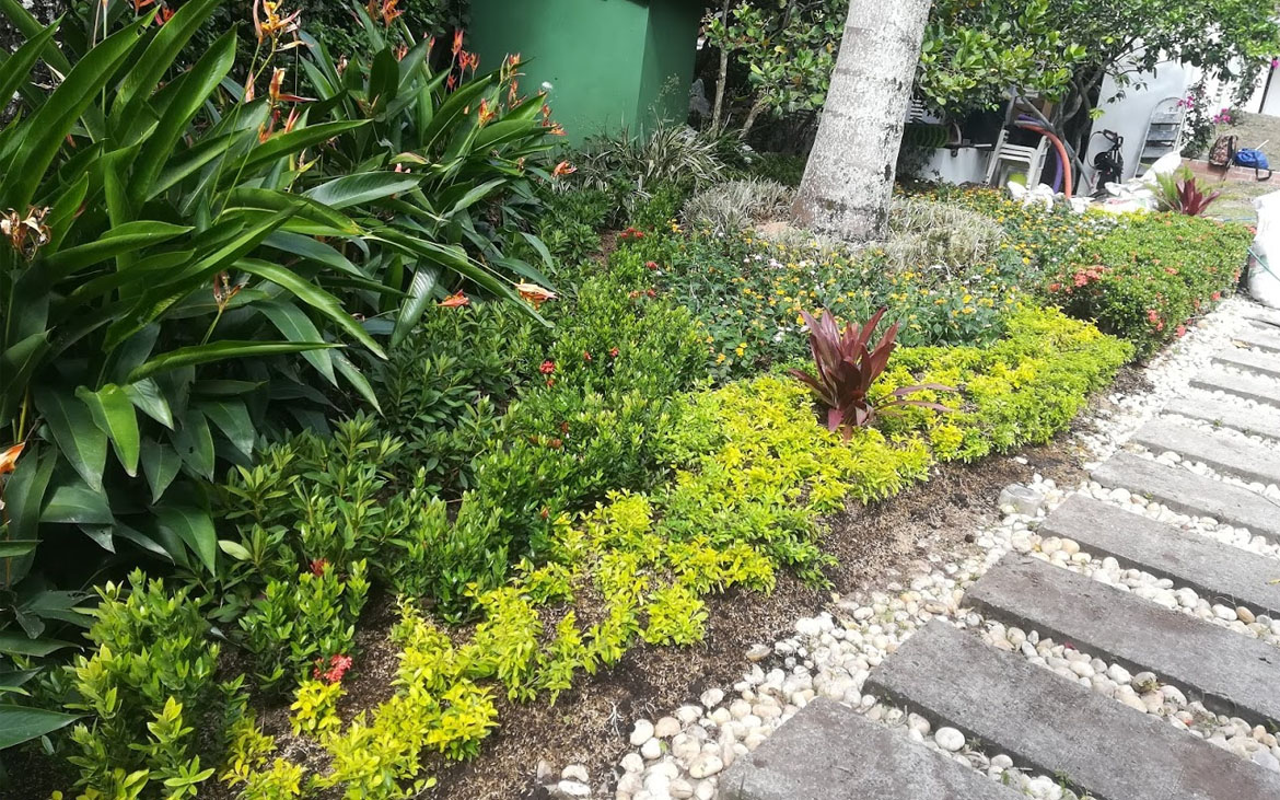 jardineros para edificios en bogota