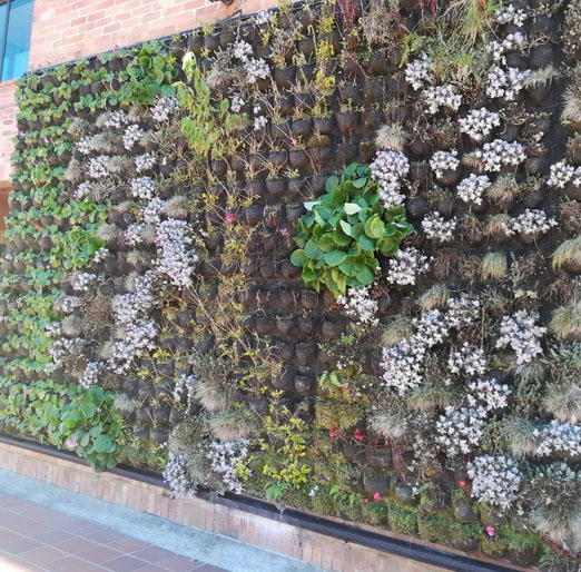 jardineros en bogota